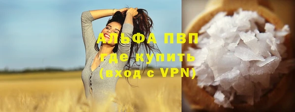 шишки Абаза