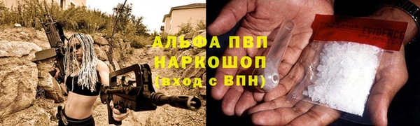 шишки Абаза