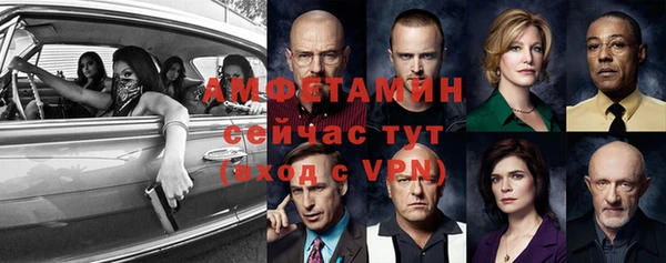 шишки Абаза