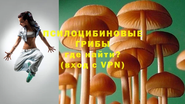 СК Алексин