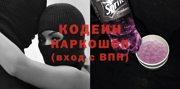 шишки Абаза