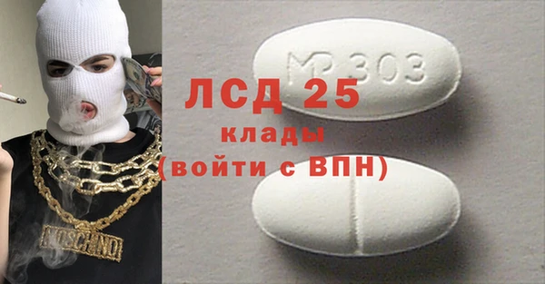 СК Алексин