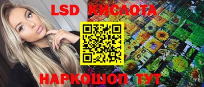 индика Лесосибирск