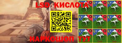 индика Лесосибирск