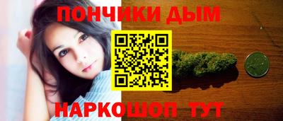 индика Лесосибирск