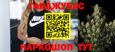 индика Лесосибирск