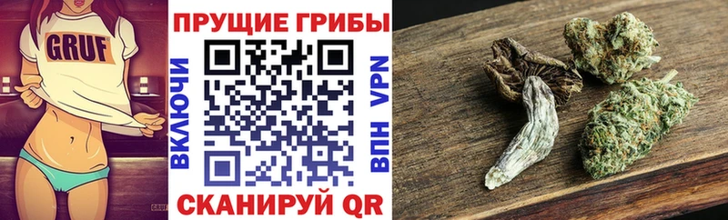 Галлюциногенные грибы прущие грибы  где найти наркотики  Волоколамск 