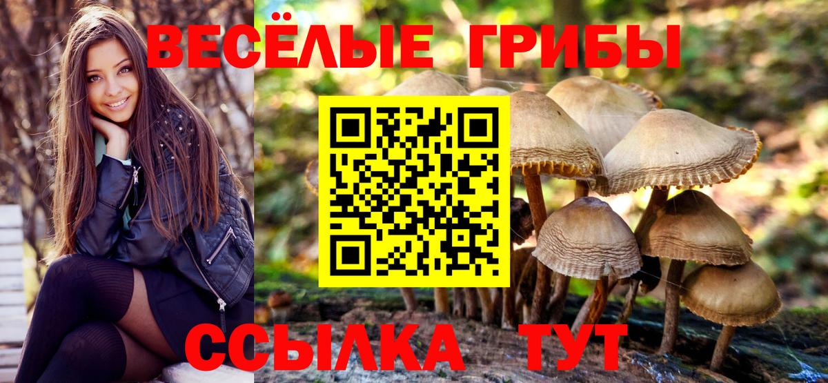 Псилоцибиновые грибы прущие грибы Волоколамск